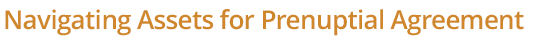 navigating assets for prenuptial agreement